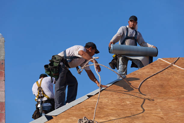 Best Residential Roofing Contractor  in Malone, FL