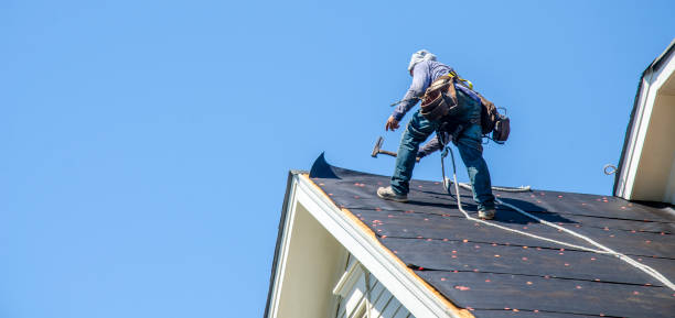 Best Tile Roofing Contractor  in Malone, FL